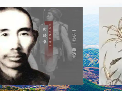 滇山藏药魂 一生铸丹心——曲焕章与云南白药的传奇史诗