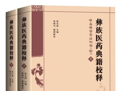 王明贵：辩证生理营卫 合施医药卫生——《彝族医药典籍校释》（上下）评介 ...