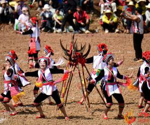 云南弥勒：彝族村落举行文艺演出与摔跤比赛 庆祝中国传统村落十周年