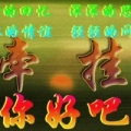 上海足迹