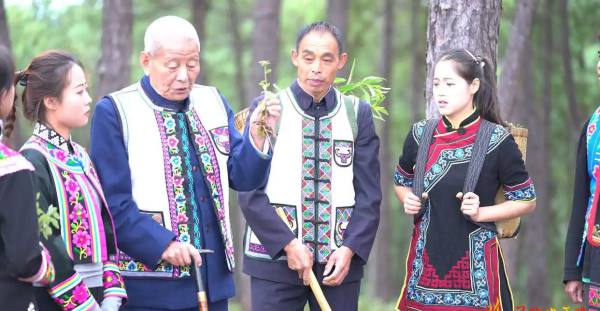 楚雄：彝族医药典籍《탹값긔（齐苏书）》 比《本草纲目》还要早12年 ... ...