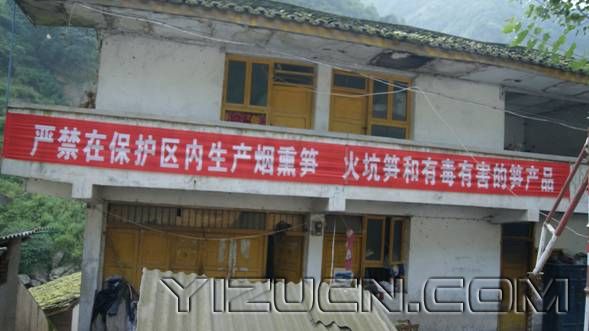 马边彝族自治县重拳出击强化大风顶保护区笋山管理