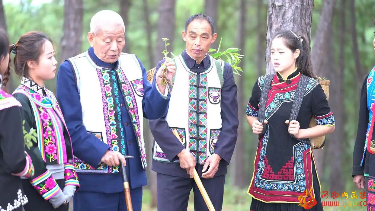 彝族医药专栏：녪냰탹