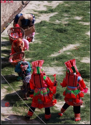 nisutiaodeng3.jpg