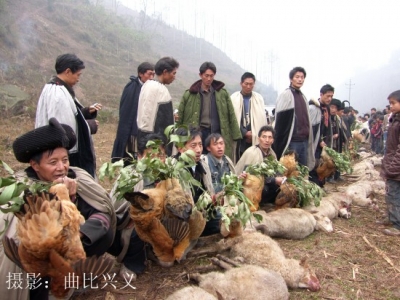 涅穆丛毕 1.jpg