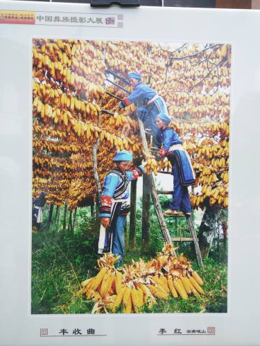 大美彝风 彝博会摄影展 (8).jpg