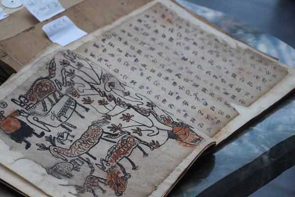 4学校参展的古籍2.png