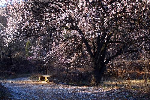 20120307221458_PGtjV[1].jpeg