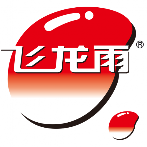 飞龙雨.jpg
