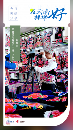 314楚雄彝族刺绣 彝族服饰 直播.png
