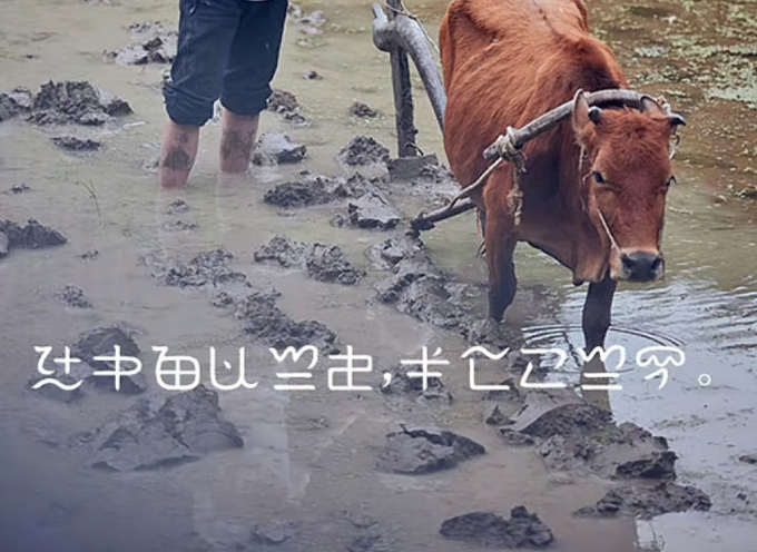 牛.png
