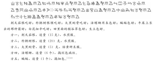 3哀牢山彝族医药翻译体例.jpg
