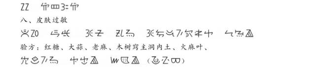 4元阳彝文古籍医药书翻译体例.jpg