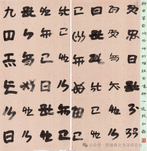 段红燕.png
