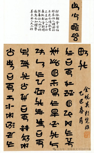 金晓英.png