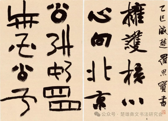 罗思宝.png