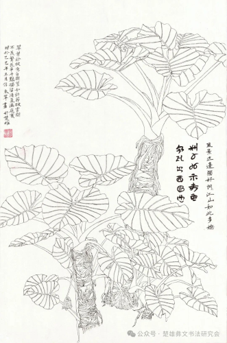 信永翠.png