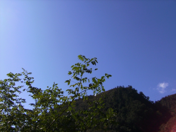 Image_7.jpg