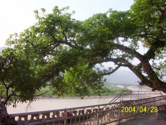 美丽马边城.jpg